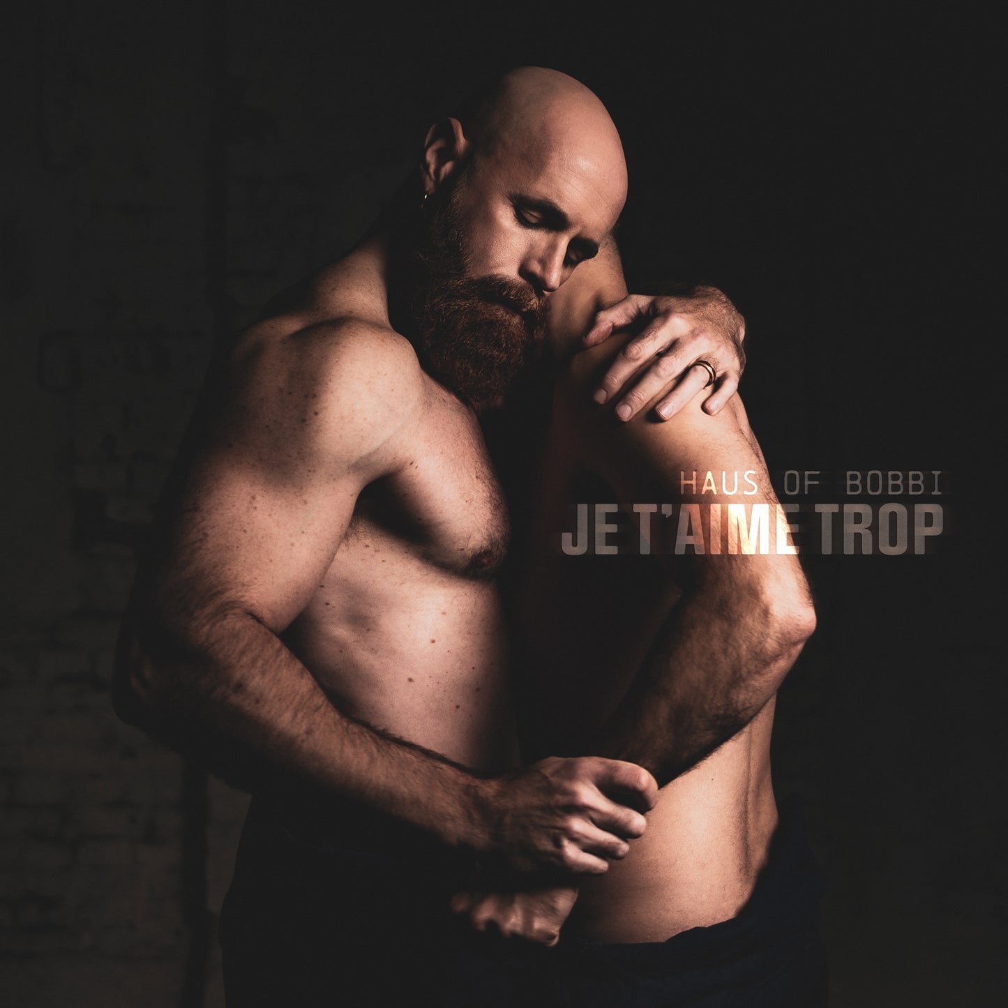 Haus Of Bobbi - Je t'aime trop - Album Vinyle